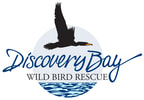 Discovery Bay Wild Bird Rescue